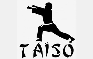 Stage de Taïso à Epinal