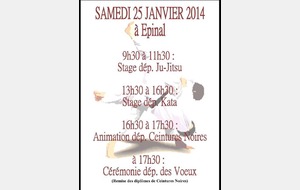 Stage Epinal le 25 janvier 2014
