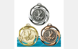Pluie de médailles au judo