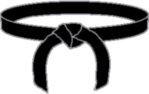 Remise de la ceinture noire de Valentin