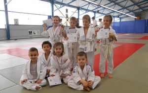 Animation baby-judo et stage d'arbitrage 21/01/2017