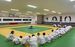 Stage de Judo à Golbey