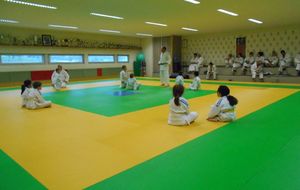 5650c31c7412a_DSCN2787.jpg