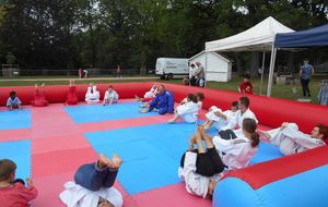 5979f90a86f29_DSCN0168.jpg