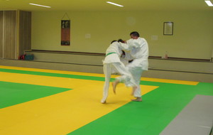 597a03ff3e88c_2.JPG