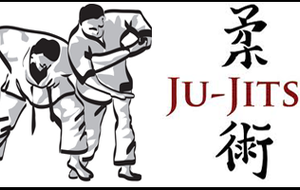 Stage Départemental Ju-jitsu
