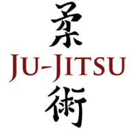 Stage départemental Jujitsu