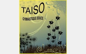 Stage départemental Taïso