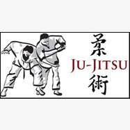 Stage Départemental Ju-jitsu