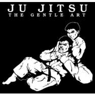 Animation Départementale Ju-Jitsu