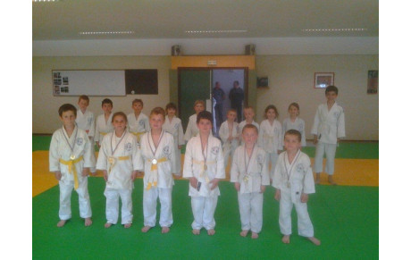 Remise de médailles 
