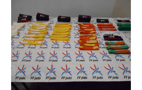 AG + remise des ceintures du 24/06/2016